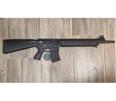 Regent SF 1916 No.2 12/76 51cm Šibrenice